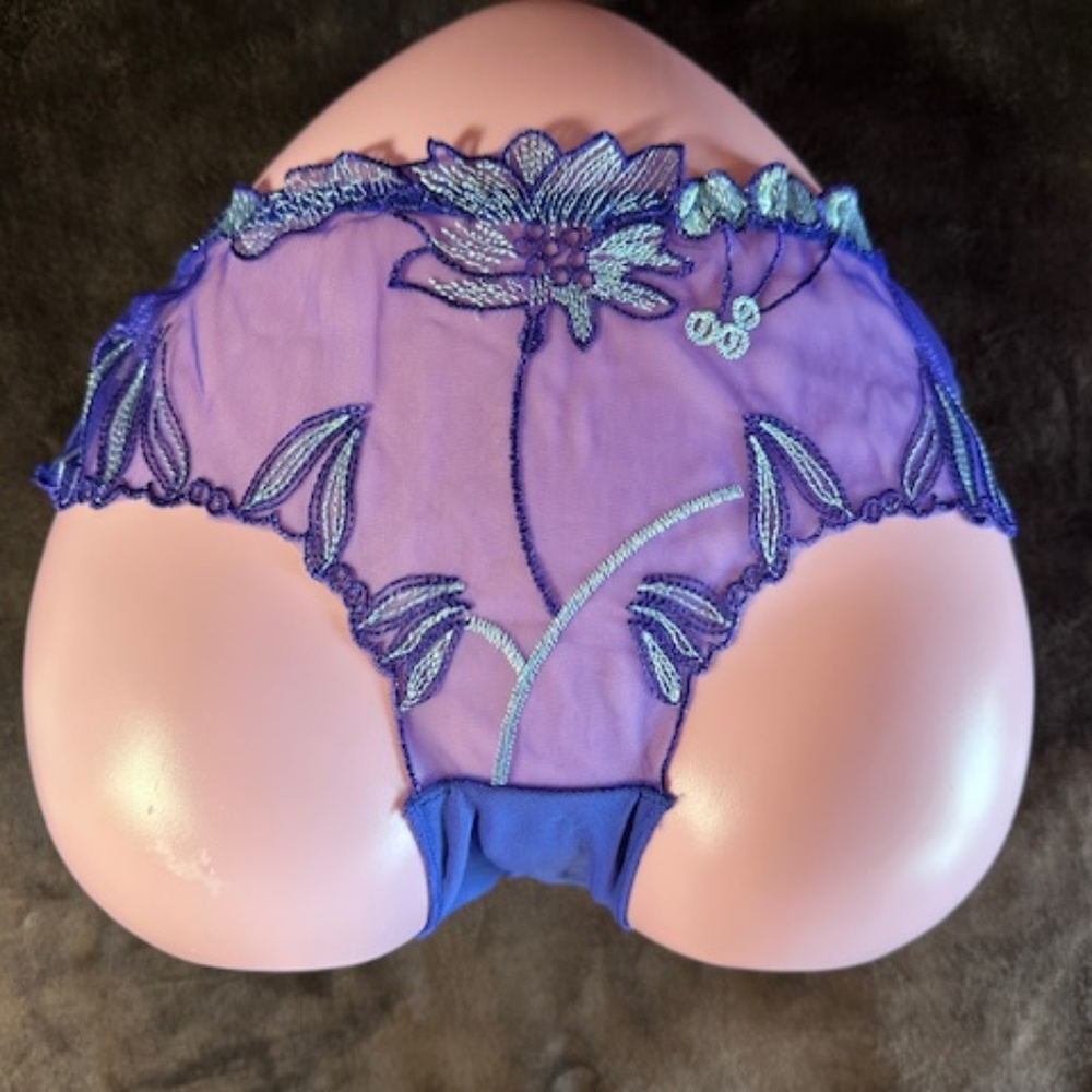 Blue Panties with embroidered flowers. Sheer see through mesh Lolita Kawaii